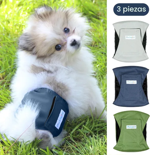 Miniatura 3 de Paw Legend - Pañales lavables para perro macho (3 unidades), S, Ejército, Gris, Marina