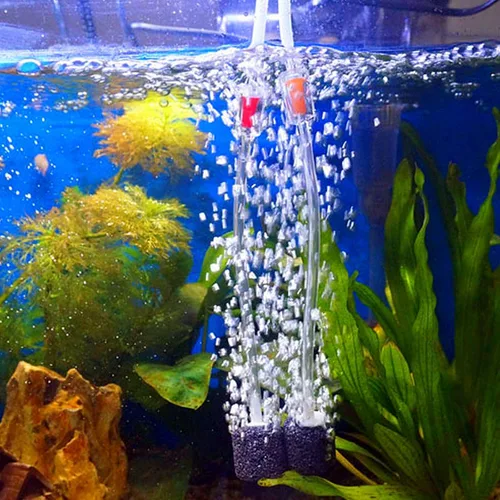 Miniatura 7 de Tubo de silicona QJZXUEZHEN 1/4"(6mm) DI x 3/8"(10mm) DE Manguera de goma de silicona flexible transparente para agua y aire