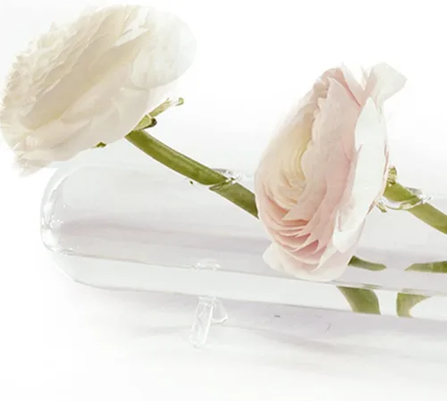 Miniatura 2 de Chive Florero de flores "Hudson Flute" con múltiples cámaras, bonitos y hermosos jarrones de vidrio para flores y plantas de interior, grande