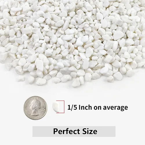 Miniatura 2 de YISZM Grava para suculentas y cactus de 10 libras, guijarros pulidos decorativos naturales blancos de 1/5 pulgadas para paisajismo, rocas de río