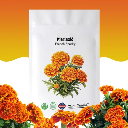 Miniatura 9 de Marigold African Crackerjack Seeds - 750 semillas - Hermosas flores enormes de naranja y amarillo, reliquia sin OMG - Flores vibrantes y fragantes