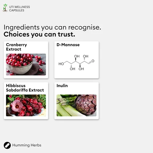 Miniatura 5 de Humming Herbs Complejo de D-manosa y arándano — con hibisco, prebiótico de inulina y probióticos (Lactobacillus rhamnosus & L. reuteri) — 120