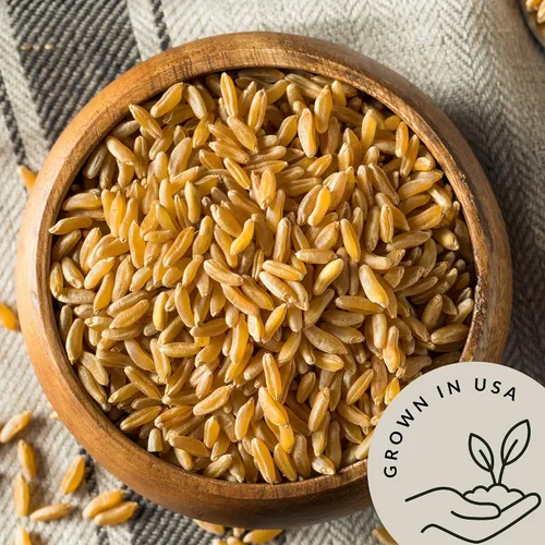 Miniatura 4 de Be Still Farms Khorasan de trigo Kamut orgánico (4.8 libras) – Grano entero antiguo a granel – Ideal para harina, pasta, ensaladas, sopas – Alto