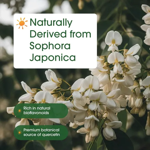 Miniatura 6 de NatureBell Quercetina 1000 mg por porción 240 cápsulas, suplemento de quercetina ultra fuerte Bioflavonoides para un apoyo inmunológico