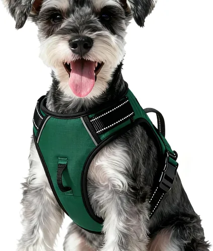 Miniatura 98 de Arnés para perro sin tirones, chaleco reflectante ajustable y acolchado para mascotas con asa de fácil control, fácil de llevar con nudo elegante