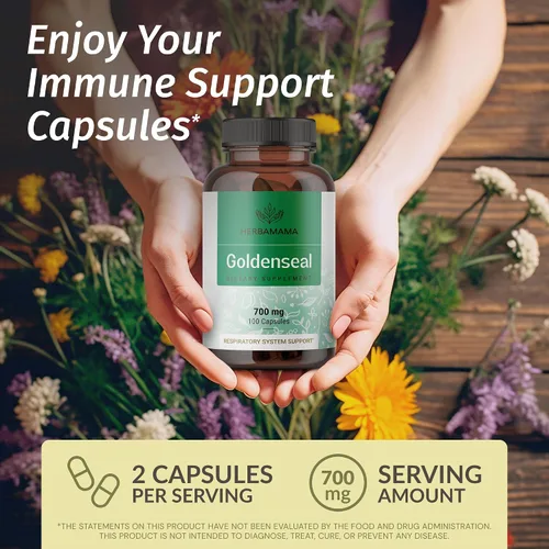 Miniatura 2 de HERBAMAMA Goldenseal - Cápsulas de raíz de 700 mg - Sistema respiratorio y apoyo inmunológico con suplemento en polvo de sello dorado, vegano, sin