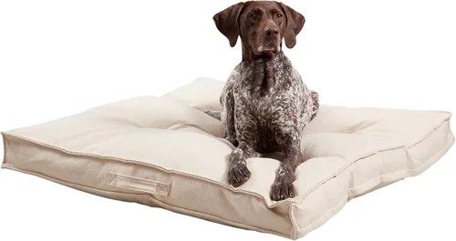 Miniatura 18 de Happy Hounds Milo - Cama cuadrada copetuda para perro, cemento, pequeña (24 x 24 pulgadas), 24.0 pulgadas de largo x 24.0 pulgadas de ancho x 5.0