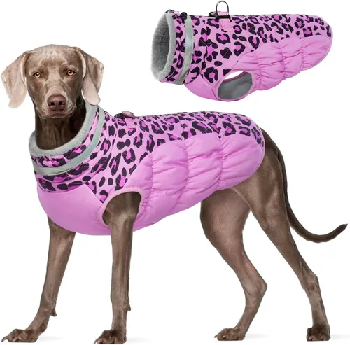 Miniatura 33 de FUAMEY - Chaqueta de invierno para perro, chaleco acolchado con arnés, ropa cálida para mascotas, abrigo con cremallera, impermeable, para perros