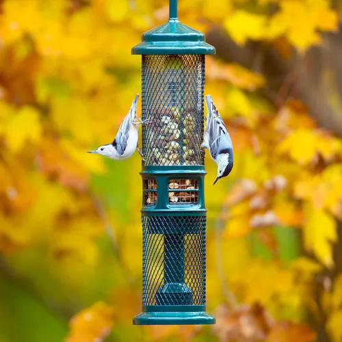 Miniatura 2 de Comedero para Nueces Squirrel Buster - Comedero para Pájaros a Prueba de Ardillas para Nueces y Frutas, Dos Mallas