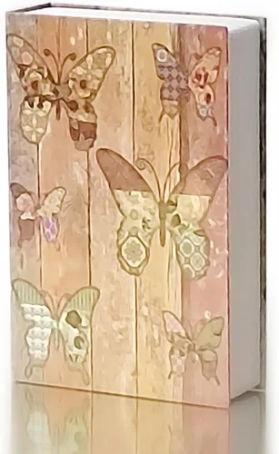 Caja fuerte para libros con cerradura de llave, caja de seguridad oculta para dinero en efectivo y joyas, caja de almacenamiento de dinero ignífuga
