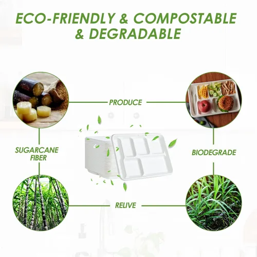 Miniatura 5 de Vplus Platos 100% compostables con 6 compartimentos, paquete de 90 platos de papel con compartimentos, bandejas desechables de 12.5 x 8.6 pulgadas 6
