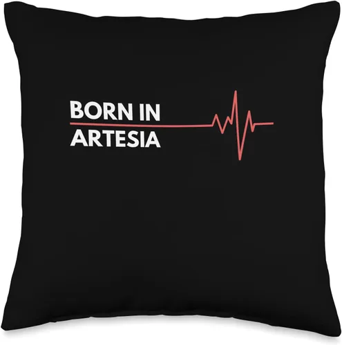 Made In Artesia New Mexico Co. Inc. Made in Artesia New Mexico City of Birth Birthplace - Almohada de 16 x 16 pulgadas, multicolor