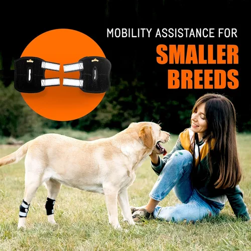 Miniatura 2 de NeoAlly Soportes de perro de gran apoyo para articulación trasera de corvejón con tiras de resorte de metal duales estabilizan las patas traseras