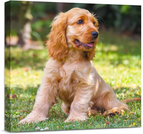 Miniatura 21 de Anjiefo Impresiones en lienzo personalizadas con tu foto, lienzo personalizado para pared, imprime tus fotos en lienzo, regalos para familiares
