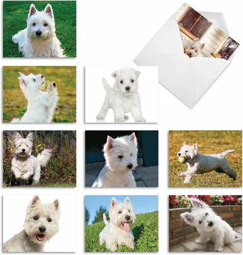 Miniatura 9 de The Best Card Company - 10 adorables tarjetas de perro en blanco (4 x 5.12 pulgadas) - Razas de mascotas surtidas, juego en caja - Adorables perros