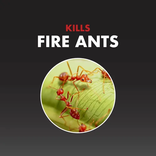 Miniatura 2 de Spectracide One Shot - Asesino de hormigas de fuego, cebo para hormigas de fuego, controla las hormigas de fuego durante 3 meses, 1.5 libras