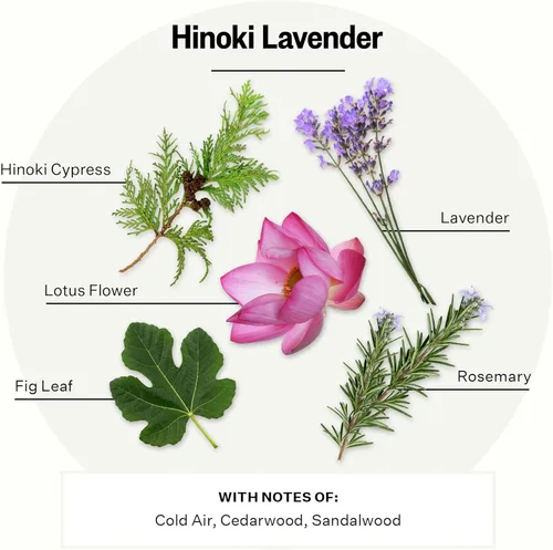 Miniatura 3 de Apotheke Velas perfumadas exclusivas para el hogar, lavanda Hinoki, 10.5 onzas, cera de soja, no tóxica, tarro grande blanco, velas de lujo regalos