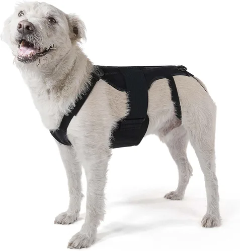 Soporte de espalda para perro con calentadores de calor calmantes para IVDD - Alivio del dolor para la artritis - Recuperación quirúrgica espinal -