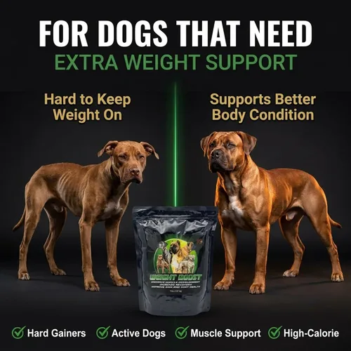 Miniatura 2 de CPN Weight Boost Suplemento para ganar músculo para perros con alto contenido de calorías – Proteína de suero de grado humano, grasas saludables