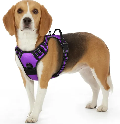 Miniatura 75 de Eagloo Arnés para perro pequeño, sin tirones, chaleco de servicio con tiras reflectantes y asa de control, ajustable y cómodo para caminar, arnés