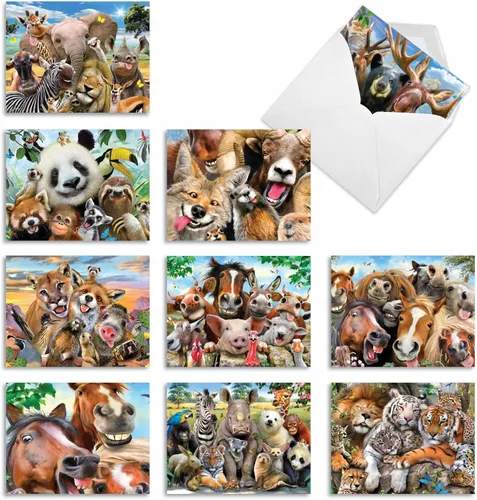 The Best Card Company - 10 tarjetas de felicitación de agradecimiento de vida silvestre con sobres, papel de notas en caja de animales lindos - Aquí