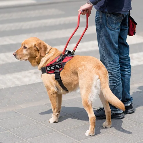Miniatura 6 de Juego de 2 parches reflectantes "Do Not Pet" con cierre de velcro, borde bordado con letras impresas para arnés de chaleco para perro