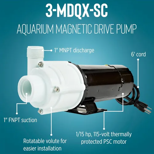 Miniatura 3 de Little Giant 3-MDQX-SC 581507 Bomba de circulación para acuario de flujo sin accionamiento magnético no sumergible de 115 voltios, 1/15 HP, 1000