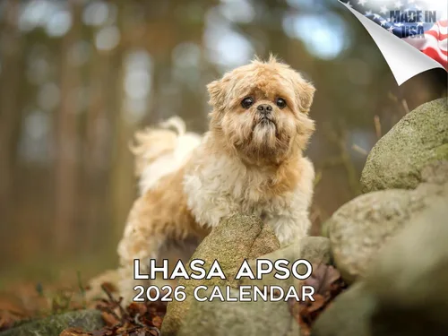 Miniatura 176 de Calendario 2025 2026 de cachorros Cocker Spaniel - Calendario mensual de pared de raza de perro - 12" x 24" abierto - Papel grueso sin sangrado