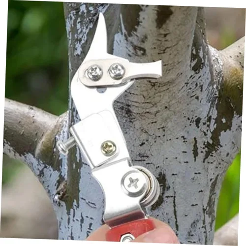 Miniatura 9 de 1 juego de cortador de anillos de fruta, tijeras de podar, cortador de manzana, herramienta de jardín, herramienta de poda, cortador de anillos