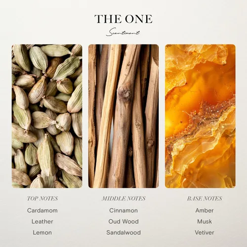 Scentiment The One - Aceite difusor de alta calidad con notas de cardamomo, cuero, limón con canela y sándalo para el hogar, aroma para el hogar,