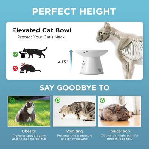 Miniatura 6 de Tazón elevado de comida para gatos Necoichi – Tazón elevado de cerámica para gatos para fatiga de bigotes y cuello, apto para lavavajillas