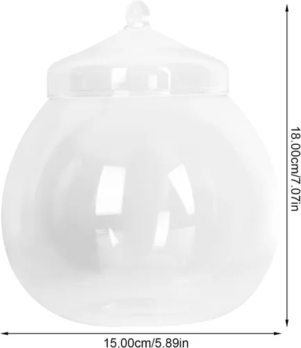 Miniatura 3 de Angoily Terrario de vidrio, tarros grandes transparentes con tapa, florero de terrario para plantas