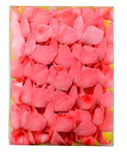Miniatura 9 de Miami Fresh Orchid Flower OrchidClub USA Sunne Tropical Loose Bloom Head DIY Lei Food Drink Decor RED (50 rojo VALENTÍN)