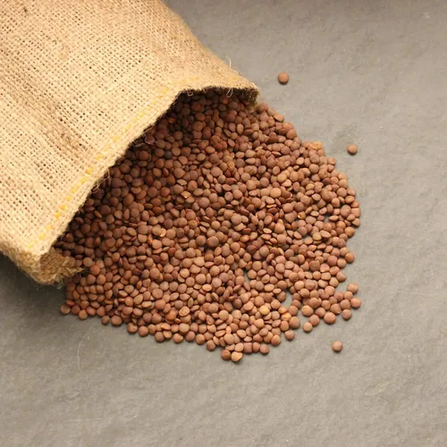 Miniatura 2 de Semillas orgánicas para germinar lentejas rojas -2.5 libras - Marca Handy Pantry - Lentejas rojas - Perfecto para semillas de jardín, jardinería