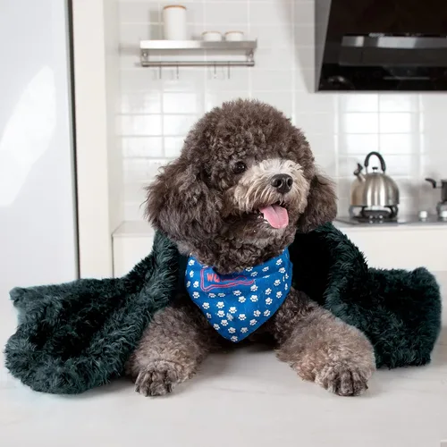 Miniatura 3 de MACEVIA Manta de forro polar para perro, cálida y suave para mascotas para cachorros, perros y gatos pequeños, medianos y grandes, mantas de felpa