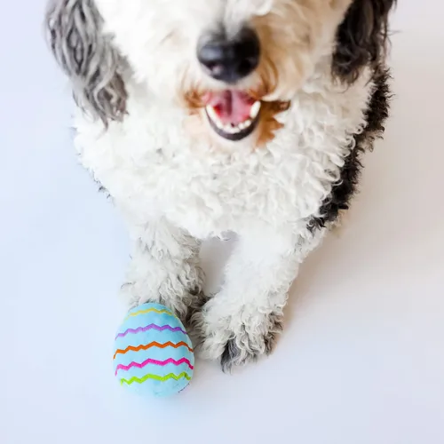 Miniatura 6 de Midlee Juguete de peluche para perro de huevo de Pascua, azul (grande)