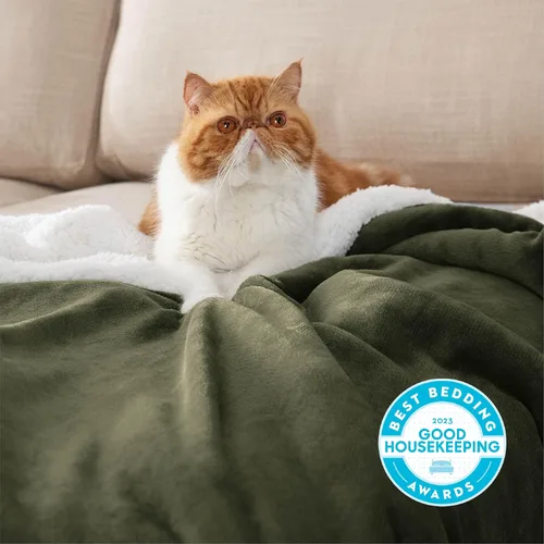 Miniatura 2 de Bedsure GentleSoft Manta de Lana Sherpa para Sofá - Gruesa y Cálida, Manta Suave y Esponjosa de Felpa para Invierno, Verde Oliva, 50 x 60 Pulgadas