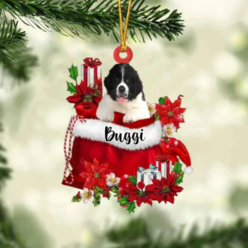 Miniatura 197 de Perro Akita Inu personalizado en bolsa de regalo, adorno de Navidad, nombre personalizado, regalo para amantes de los perros, familia, Navidad
