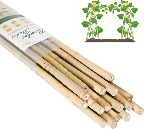 Miniatura 13 de Cambaverd Varillas de bambú para plantas, estacas de bambú de 2 pies para jardinería interior, estacas para plantas en maceta, mini árboles, estacas