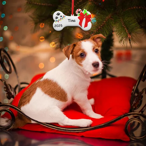 Miniatura 7 de Adorno de Navidad de Hueso de Perro 2025 Personalizado Decoración Colgante para Cachorros Perros Personalizada Manuscrita Primer Regalo Colgante