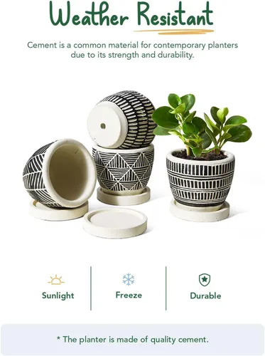 Miniatura 6 de LE TAUCI Macetas bohemias para suculentas de 3 pulgadas, macetas pequeñas artesanales para suculentas, macetas pequeñas de cemento para plantas