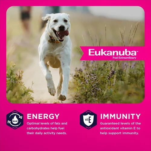Miniatura 6 de Comida seca para perro, Eukanuba Puppy, Cachorro de raza grande