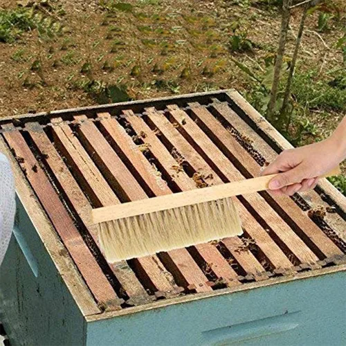 Miniatura 5 de ZffXH Paquete de 2 cepillos de abeja para apicultores, mango de madera, cepillo de abeja natural de crin de caballo, suministros de colmena,