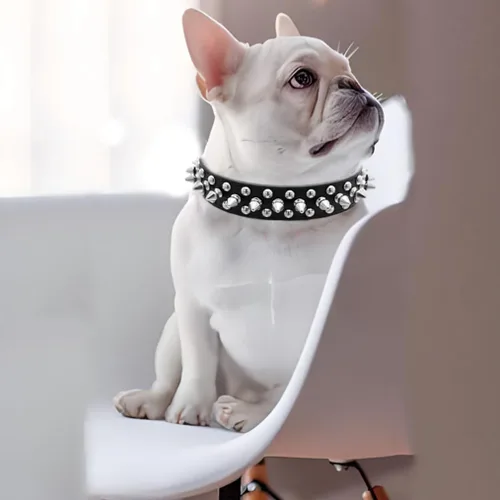 Miniatura 3 de Spike - Juego de collar y correa para perro, de piel sintética sintética con tachuelas, con remaches de metal suave y duradero, collares para gatos
