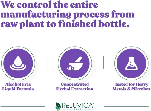 Miniatura 4 de Nervestra Suplemento de apoyo para la salud nerviosa – Fórmula líquida herbaria de rápida absorción – cúrcuma, corteza de sauce blanco, vitaminas B