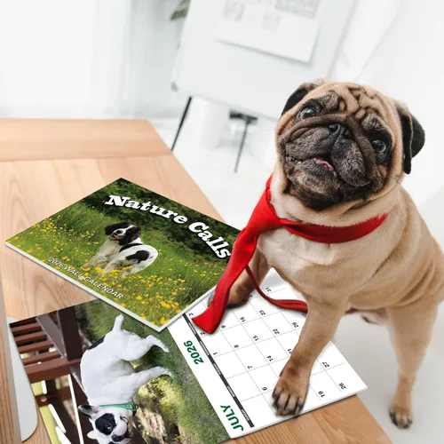 Miniatura 2 de Gag Gifts - Calendario 2021, calendario de pared, perros haciendo popo, para regalos de broma, enero a diciembre del 2021, 28 x 43.18 cm