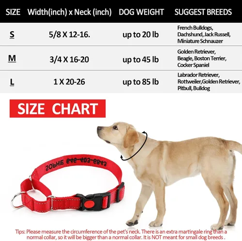 Miniatura 5 de Collar de martingala personalizado para perro - Collares de martingala reflectantes con hebilla, collares de martingala personalizados