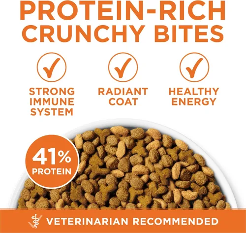 Miniatura 6 de Purina ONE Alto en Proteína, Fórmula Saludable Plus Ideal con Pollo, Alimento Seco para Gatos, Fórmula de Control - Bolsa de 7 lb