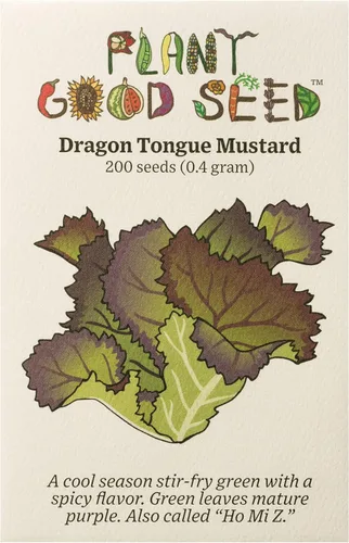 Plant Good Seed Semillas orgánicas de mostaza de lengua de dragón – Paquete de 200, semillas tradicionales para plantar verduras – Suministros de