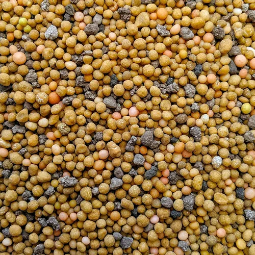 Miniatura 2 de Fertilizante de higos de violín – espectro completo + micro nutrientes – Alimentos de liberación lenta durante 8 meses – La bolsa es más de un año